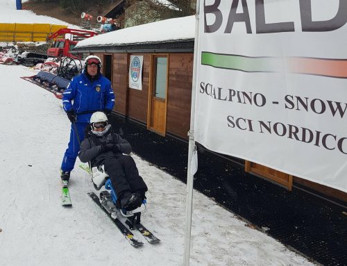 DISPOSITIVO DUAL SKI