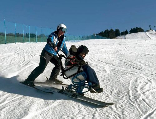 DISPOSITIVI MONOSKI E GOTOSKI